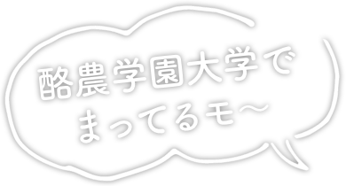 酪農学園大学で待ってるモ〜